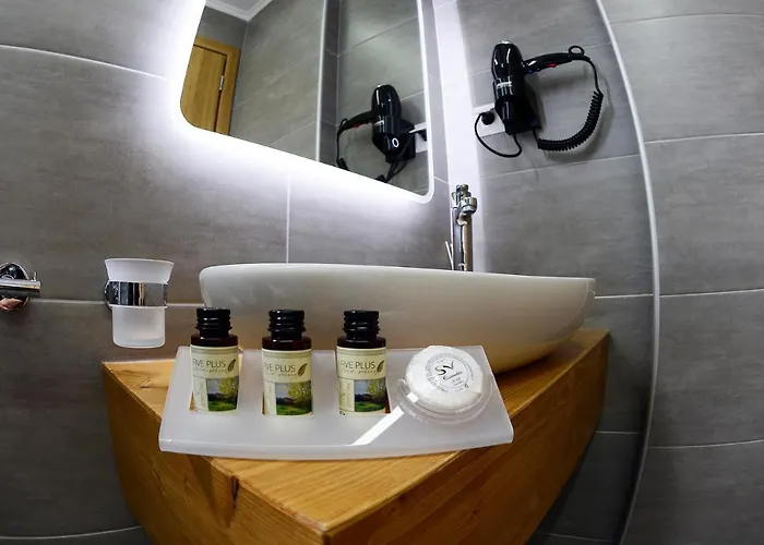 Alexandros 酒店 2*