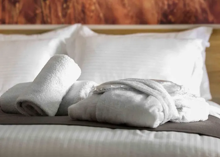 Alexandros 詹尼察